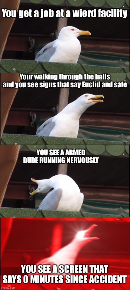 Inhaling Seagull | You get a job at a wierd facility; Your walking through the halls and you see signs that say Euclid and safe; YOU SEE A ARMED DUDE RUNNING NERVOUSLY; YOU SEE A SCREEN THAT SAYS 0 MINUTES SINCE ACCIDENT | image tagged in memes,inhaling seagull,scp | made w/ Imgflip meme maker
