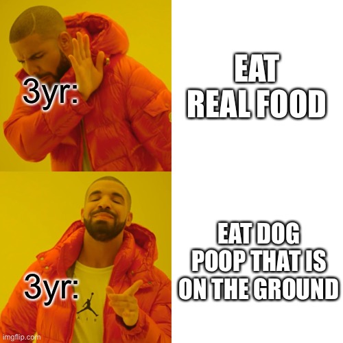 Poop | EAT REAL FOOD; 3yr:; EAT DOG POOP THAT IS ON THE GROUND; 3yr: | image tagged in memes,drake hotline bling | made w/ Imgflip meme maker