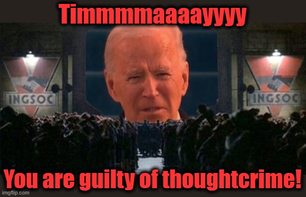 Timmmmaaaayyyy You are guilty of thoughtcrime! | made w/ Imgflip meme maker