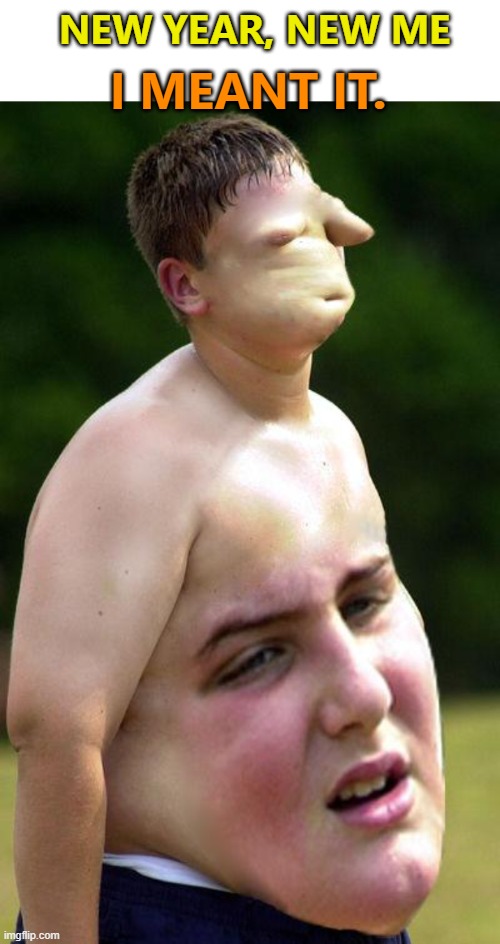 ... | I MEANT IT. NEW YEAR, NEW ME | image tagged in fatguy faceswap,funny,new year resolutions | made w/ Imgflip meme maker