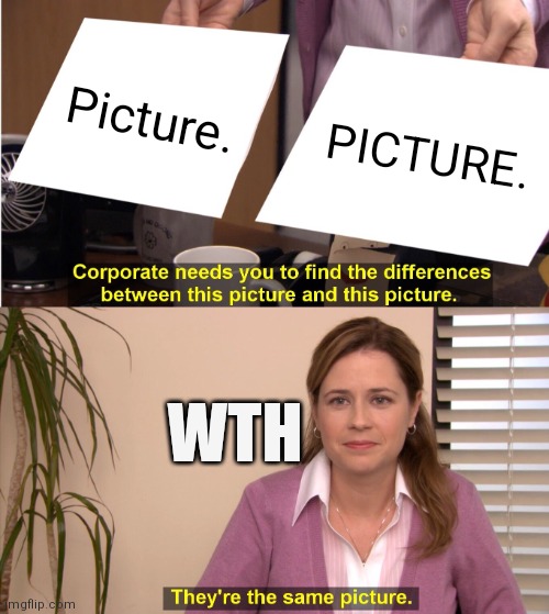 They're The Same Picture Meme | Picture. PICTURE. WTH | image tagged in memes,they're the same picture | made w/ Imgflip meme maker