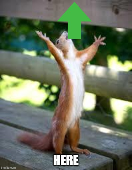 Praise Squirrel | HERE | image tagged in praise squirrel | made w/ Imgflip meme maker