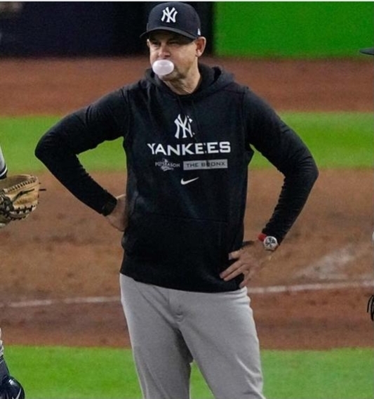 High Quality Disappointed Aaron Boone Blank Meme Template