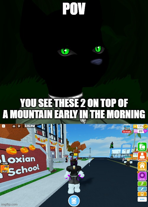 POV; YOU SEE THESE 2 ON TOP OF A MOUNTAIN EARLY IN THE MORNING | image tagged in my new panther fursona | made w/ Imgflip meme maker