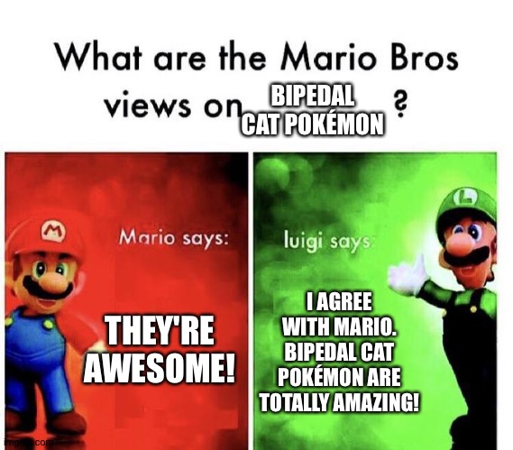 Even Mario and Luigi love Bipedal cat Pokémon | BIPEDAL CAT POKÉMON; THEY'RE AWESOME! I AGREE WITH MARIO. BIPEDAL CAT POKÉMON ARE TOTALLY AMAZING! | image tagged in mario bros views | made w/ Imgflip meme maker