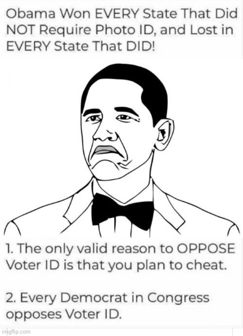Voter ID opposed by cheaters | image tagged in memes,not bad obama | made w/ Imgflip meme maker