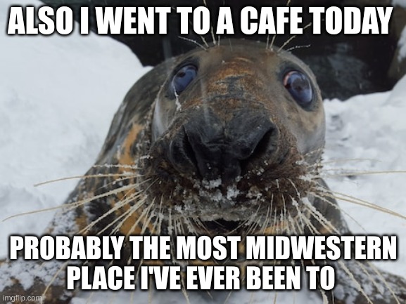 his name's bim bim | ALSO I WENT TO A CAFE TODAY; PROBABLY THE MOST MIDWESTERN PLACE I'VE EVER BEEN TO | image tagged in his name's bim bim | made w/ Imgflip meme maker