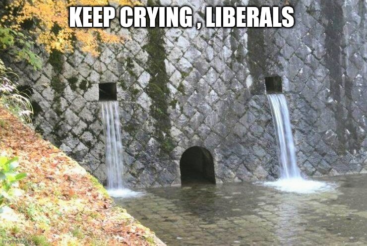 KEEP CRYING , LIBERALS | made w/ Imgflip meme maker