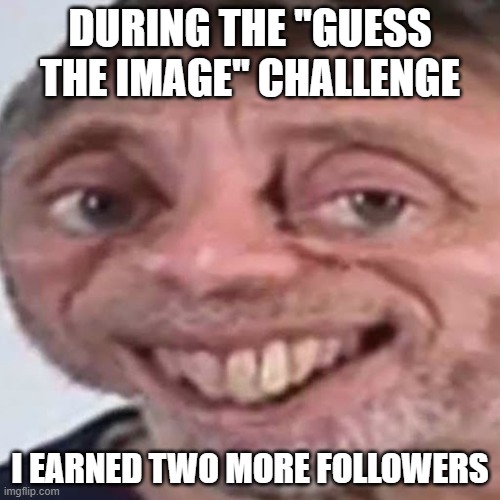 Noice | DURING THE "GUESS THE IMAGE" CHALLENGE; I EARNED TWO MORE FOLLOWERS | image tagged in noice | made w/ Imgflip meme maker
