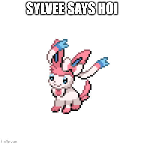 sylvee | SYLVEE SAYS HOI | image tagged in sylvee | made w/ Imgflip meme maker