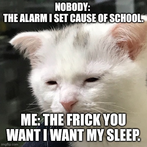 I'm bored | NOBODY: 
THE ALARM I SET CAUSE OF SCHOOL. ME: THE FRICK YOU WANT I WANT MY SLEEP. | image tagged in i'm awake but at what cost | made w/ Imgflip meme maker