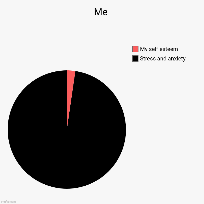 Me | Stress and anxiety, My self esteem | image tagged in charts,pie charts | made w/ Imgflip chart maker