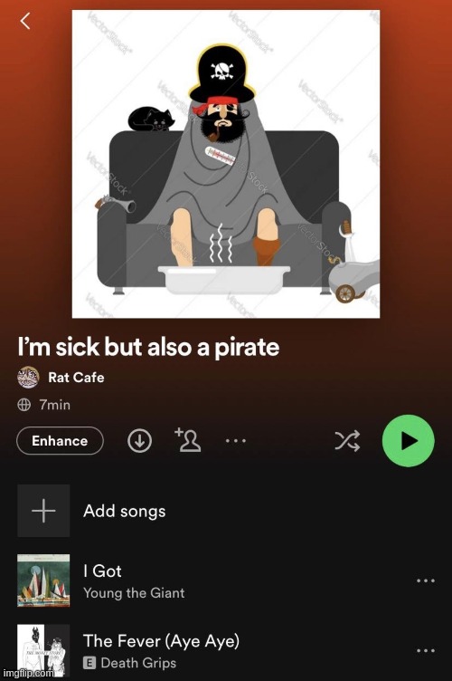 I'm sick but also a pirate | image tagged in i got,the fever,aye aye | made w/ Imgflip meme maker