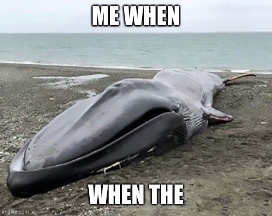 ME WHEN; WHEN THE | made w/ Imgflip meme maker