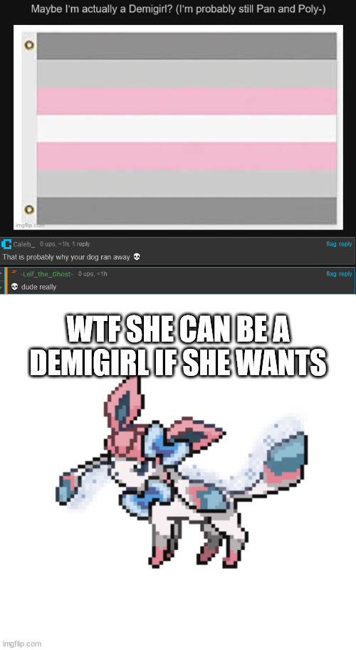 WTF SHE CAN BE A DEMIGIRL IF SHE WANTS | image tagged in sylceon sprite | made w/ Imgflip meme maker