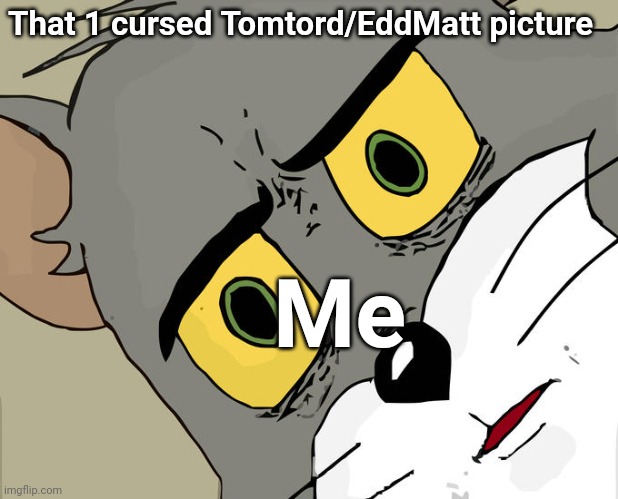 And yes I do ship it | That 1 cursed Tomtord/EddMatt picture; Me | image tagged in memes,unsettled tom | made w/ Imgflip meme maker
