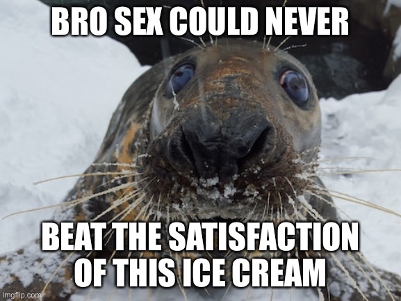 his name's bim bim | BRO SEX COULD NEVER; BEAT THE SATISFACTION OF THIS ICE CREAM | image tagged in his name's bim bim | made w/ Imgflip meme maker