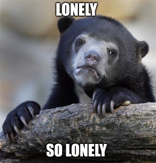 Confession Bear | LONELY; SO LONELY | image tagged in memes,confession bear | made w/ Imgflip meme maker