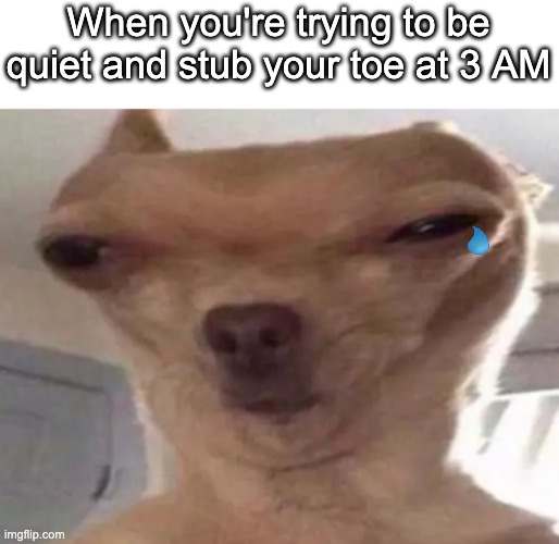 Ouch | When you're trying to be quiet and stub your toe at 3 AM | image tagged in stub toe | made w/ Imgflip meme maker