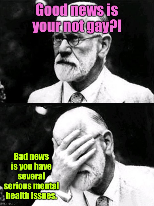 Freud | Good news is your not gay?! Bad news is you have several serious mental health issues. | image tagged in freud | made w/ Imgflip meme maker