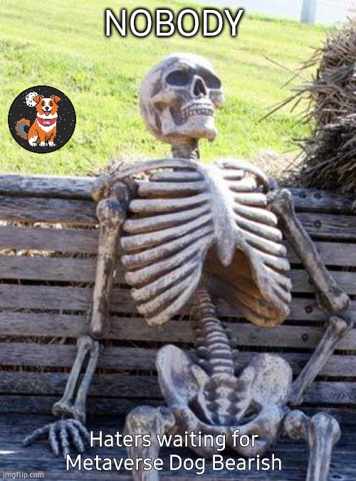 Waiting Skeleton | NOBODY; Haters waiting for Metaverse Dog Bearish | image tagged in memes,waiting skeleton | made w/ Imgflip meme maker
