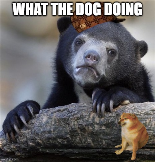 Confession Bear | WHAT THE DOG DOING | image tagged in memes,confession bear | made w/ Imgflip meme maker