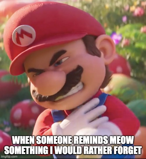 Ouuuch. | WHEN SOMEONE REMINDS MEOW SOMETHING I WOULD RATHER FORGET | image tagged in mario,reminder | made w/ Imgflip meme maker