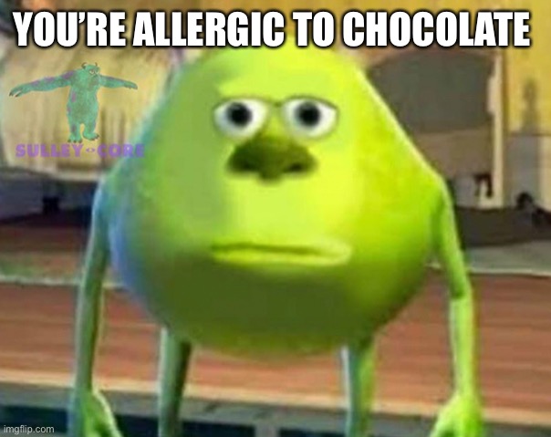 Monsters Inc | YOU’RE ALLERGIC TO CHOCOLATE | image tagged in monsters inc | made w/ Imgflip meme maker