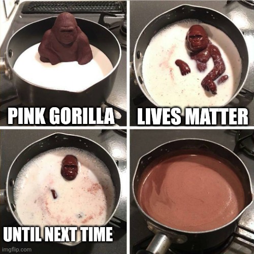 chocolate gorilla | PINK GORILLA LIVES MATTER UNTIL NEXT TIME | image tagged in chocolate gorilla | made w/ Imgflip meme maker