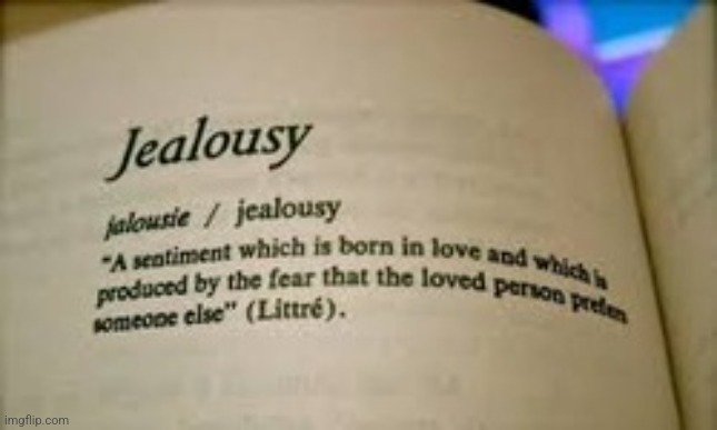 Jealousy Definition | image tagged in jealousy definition | made w/ Imgflip meme maker