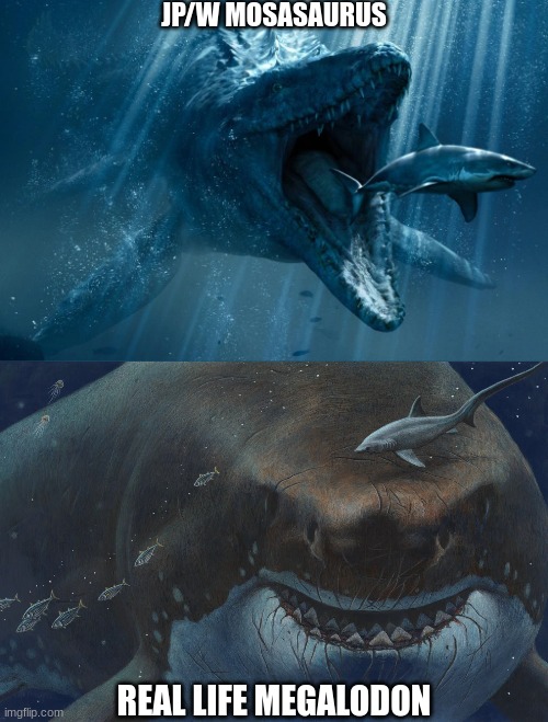 Mosasaurus (JP/W) vs Megalodon (Real Life) Who would win | JP/W MOSASAURUS; REAL LIFE MEGALODON | image tagged in jurassic park,jurassic world,shark,who would win,crossover | made w/ Imgflip meme maker