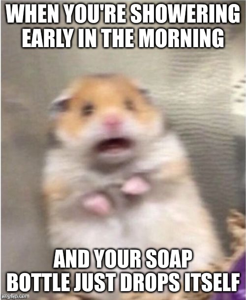 Scared Hamster | WHEN YOU'RE SHOWERING EARLY IN THE MORNING; AND YOUR SOAP BOTTLE JUST DROPS ITSELF | image tagged in scared hamster | made w/ Imgflip meme maker