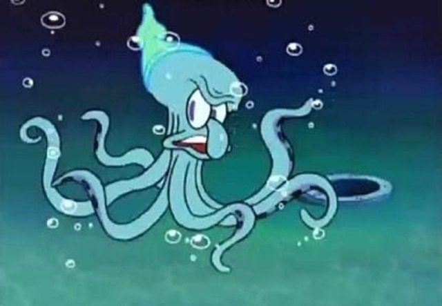 squidward as an actual octopus Blank Meme Template