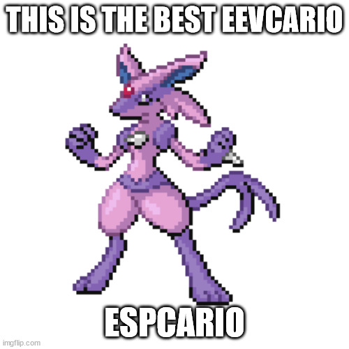 vote espcario | THIS IS THE BEST EEVCARIO; ESPCARIO | image tagged in espcario | made w/ Imgflip meme maker