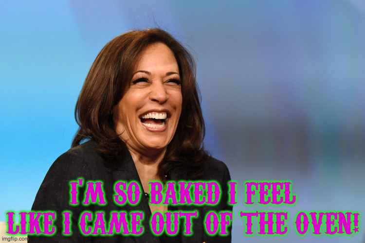Kamala Harris laughing | I'M SO BAKED I FEEL LIKE I CAME OUT OF THE OVEN! | image tagged in kamala harris laughing | made w/ Imgflip meme maker