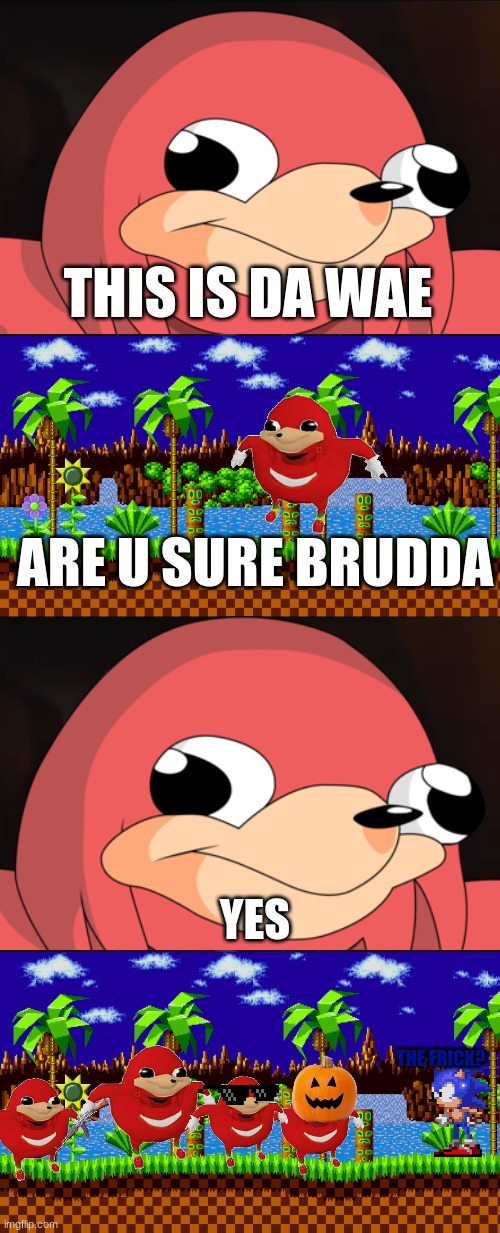 da wae | THIS IS DA WAE; ARE U SURE BRUDDA; YES; THE FRICK? | image tagged in this is the way,green hill zone,ugandan knuckles,ugandan knuckles army,sonic the hedgehog | made w/ Imgflip meme maker