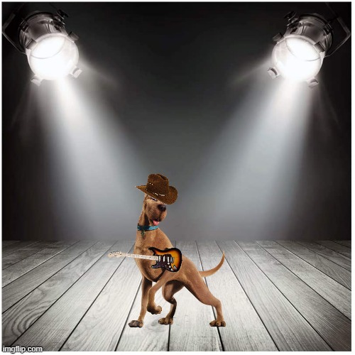 if scooby became a singer | image tagged in stage spotlight,warner bros,scooby doo,dogs,country music | made w/ Imgflip meme maker