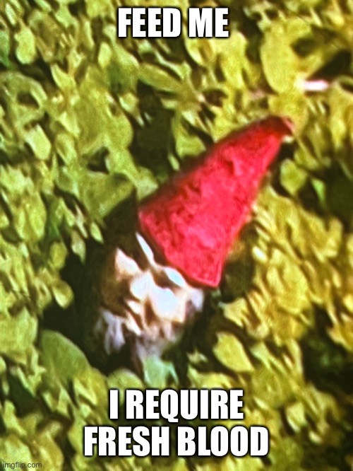 gnome pilled | FEED ME; I REQUIRE FRESH BLOOD | image tagged in schizo | made w/ Imgflip meme maker