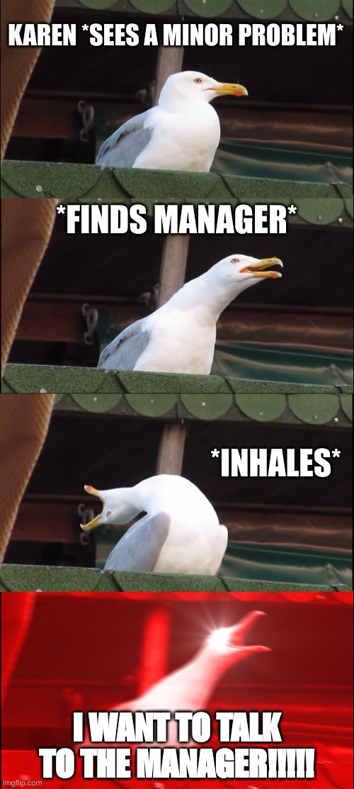 Karens | KAREN *SEES A MINOR PROBLEM*; *FINDS MANAGER*; *INHALES*; I WANT TO TALK TO THE MANAGER!!!!! | image tagged in memes,inhaling seagull,karen | made w/ Imgflip meme maker