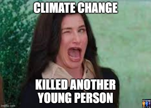 wink | CLIMATE CHANGE; KILLED ANOTHER
YOUNG PERSON | image tagged in agatha harkness wink | made w/ Imgflip meme maker