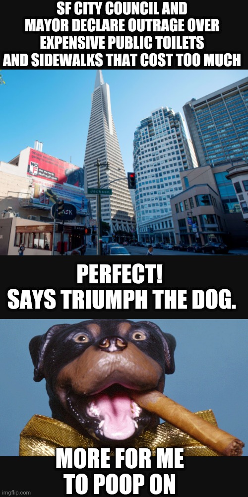 Liberal Failed Policy | SF CITY COUNCIL AND MAYOR DECLARE OUTRAGE OVER EXPENSIVE PUBLIC TOILETS AND SIDEWALKS THAT COST TOO MUCH; PERFECT!
 SAYS TRIUMPH THE DOG. MORE FOR ME
TO POOP ON | image tagged in sidewalk poop,homeless,leftists,liberals,democrats | made w/ Imgflip meme maker