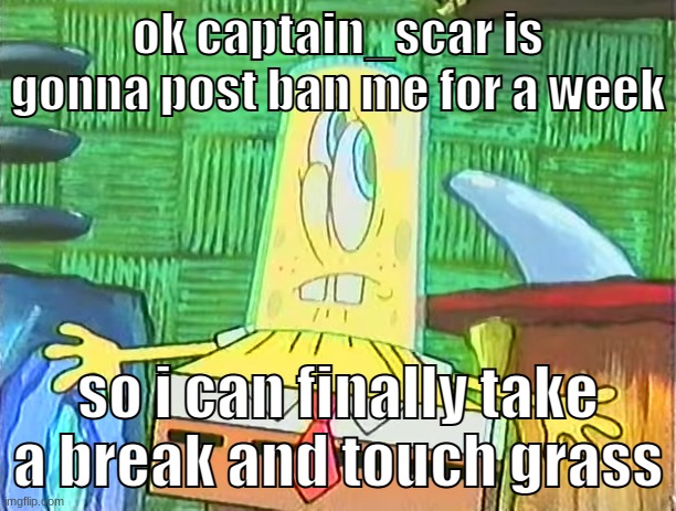 when im back from my break pls tell me everything that happened | ok captain_scar is gonna post ban me for a week; so i can finally take a break and touch grass | image tagged in memes,funny,glassbob,break,post banned,sitemods | made w/ Imgflip meme maker