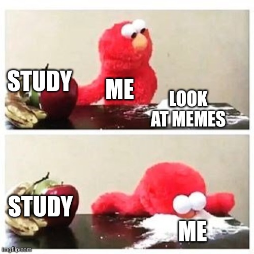 elmo cocaine | STUDY; ME; LOOK AT MEMES; STUDY; ME | image tagged in elmo cocaine | made w/ Imgflip meme maker