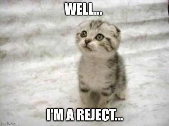 ;-; | WELL... I'M A REJECT... | image tagged in memes,sad cat | made w/ Imgflip meme maker