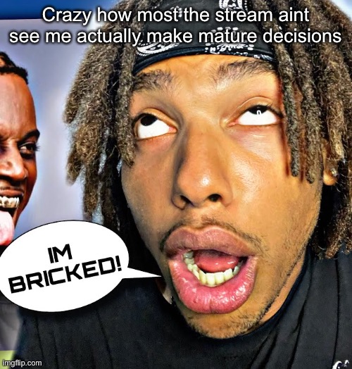 IM BRICKED! | Crazy how most the stream aint see me actually make mature decisions | image tagged in im bricked | made w/ Imgflip meme maker