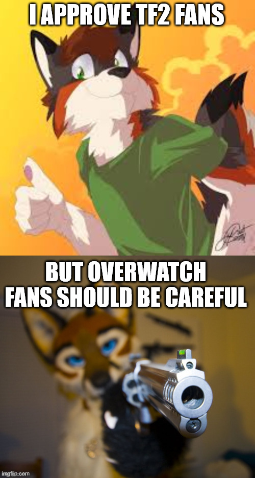 I APPROVE TF2 FANS BUT OVERWATCH FANS SHOULD BE CAREFUL | image tagged in furry thumbs up | made w/ Imgflip meme maker