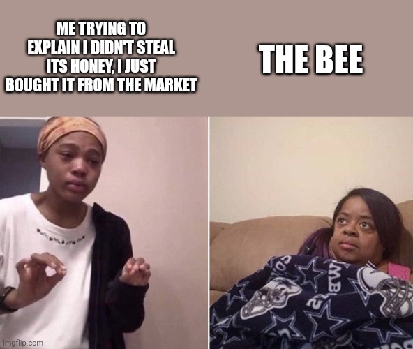 Me explaining to my mom | ME TRYING TO EXPLAIN I DIDN'T STEAL ITS HONEY, I JUST BOUGHT IT FROM THE MARKET; THE BEE | image tagged in me explaining to my mom | made w/ Imgflip meme maker
