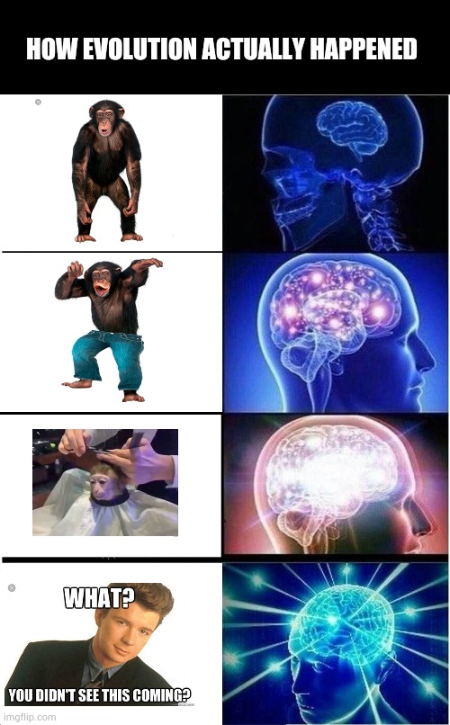 How evolution actually happened | HOW EVOLUTION ACTUALLY HAPPENED | image tagged in memes,expanding brain,monkey,monkeys | made w/ Imgflip meme maker