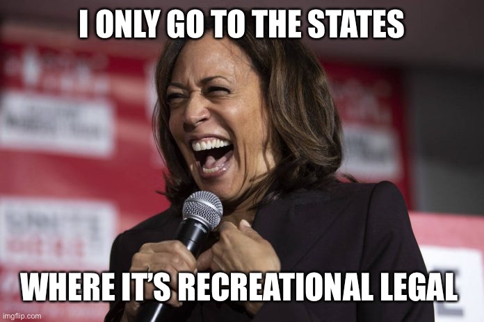 Kamala laughing | I ONLY GO TO THE STATES WHERE IT’S RECREATIONAL LEGAL | image tagged in kamala laughing | made w/ Imgflip meme maker