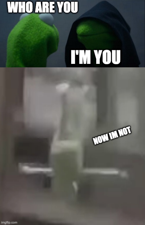 i am you | WHO ARE YOU; I'M YOU; NOW IM NOT | image tagged in memes,evil kermit,kermit the frog,suicide,fall | made w/ Imgflip meme maker